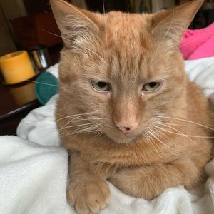 Meet your Posher, Char